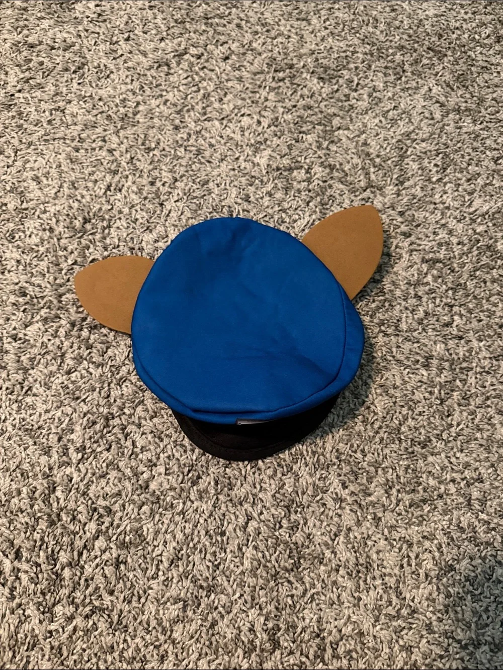 Nickelodeon fun brown